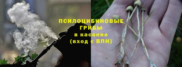 твердый Абинск