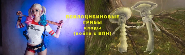 амф Абдулино