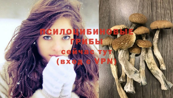 амф Абдулино