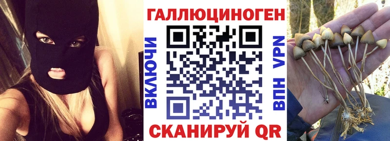 MEGA зеркало  Дербент  Псилоцибиновые грибы Psilocybe  купить наркотики цена 